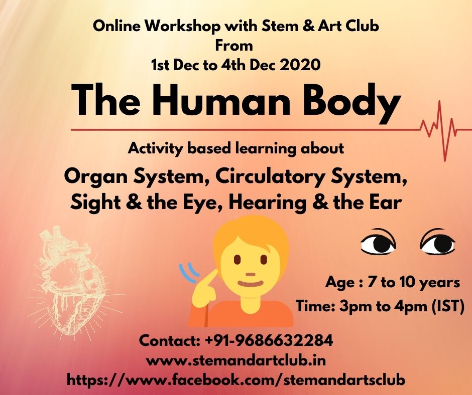 The Human Body – 1 to 4 Dec 2020